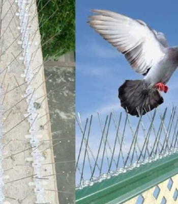 Bird/Pigeon Spikes in Hyderabad