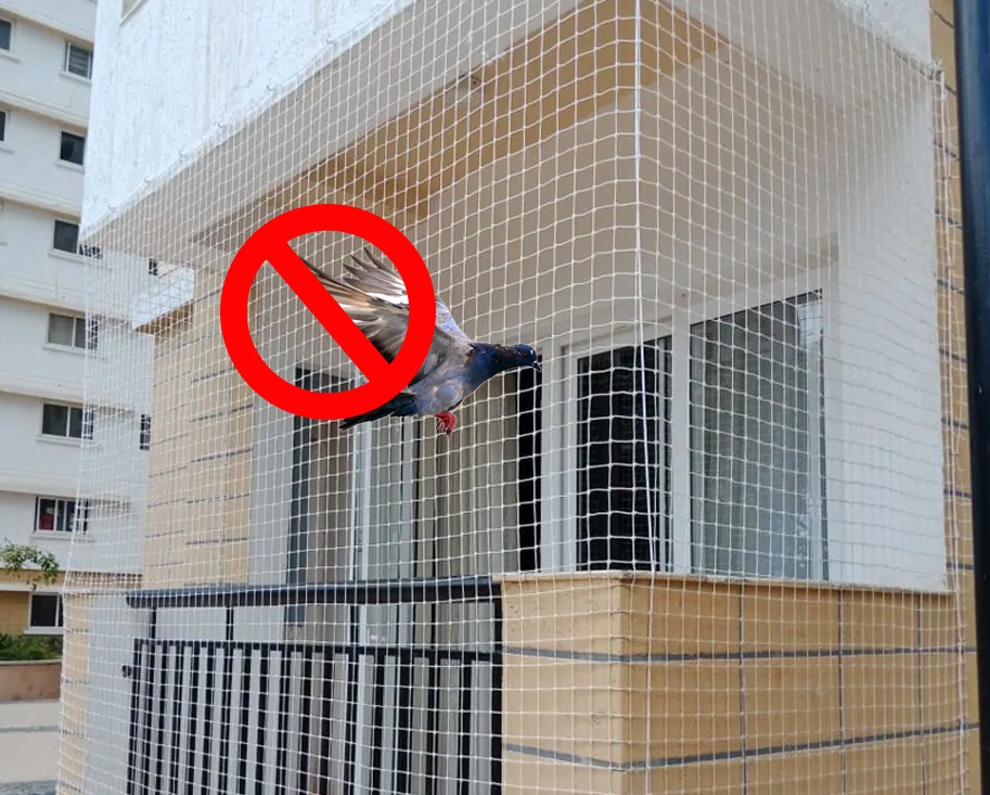 Pigeon Safety Nets Service in Hyderabad